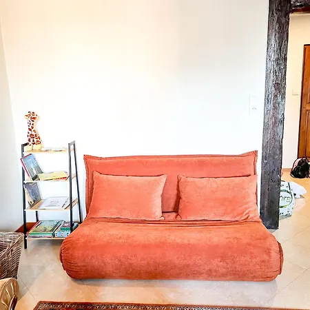 Tresor Cache - Petite Venise - 8 People * Colmar